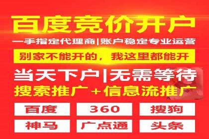 百度SEO推广策略：如何快速提升网站排名？——案例详解